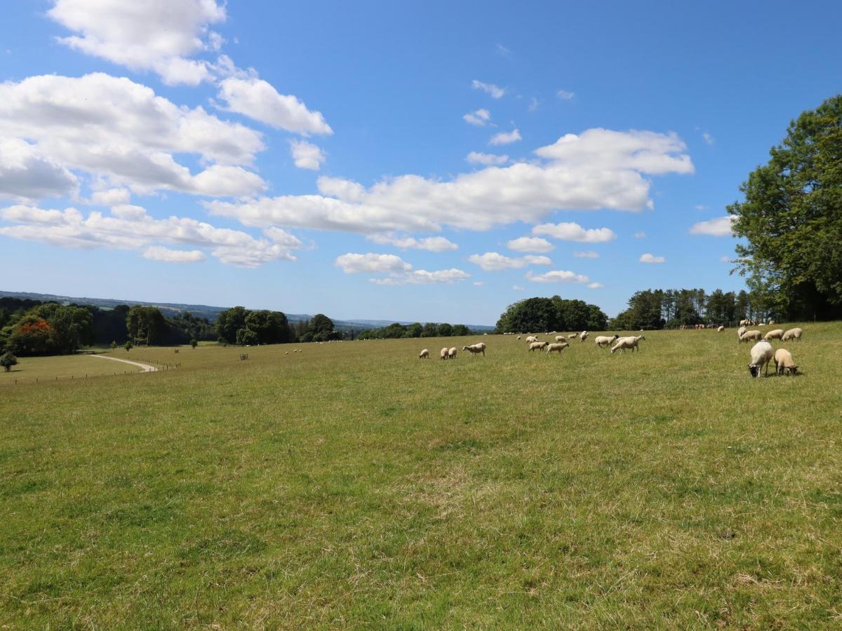 Swandown, 20 Poldon Villa Чард Екстериор снимка